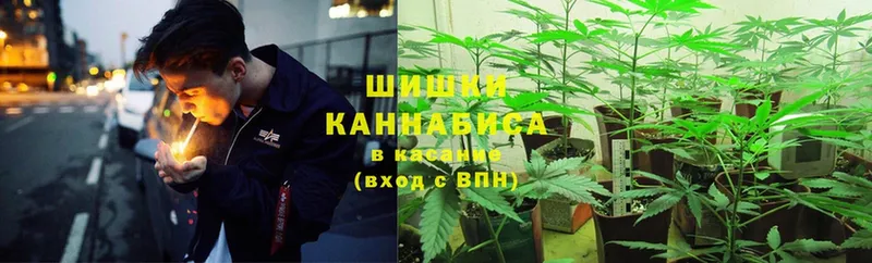 гидра ONION  Дегтярск  Канабис White Widow  где купить наркоту 